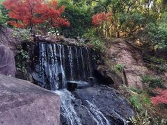 -岳麓山风景名胜区