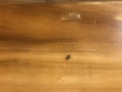 -陆振兴(东环店)