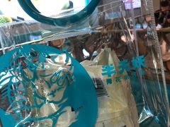 -半天妖烤鱼(丰科万达店)