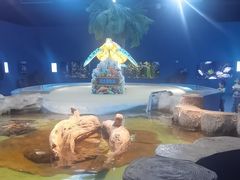 -重庆欢乐海底世界