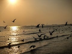 -老虎石海上公园