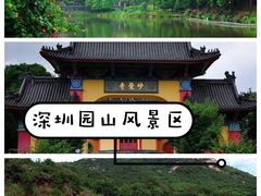 -杨梅坑