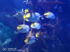 -多彩贵州城极地海洋世界