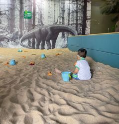 -恐龙探索乐园(磁器口店)