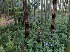 -苏州河梦清园环保主题公园