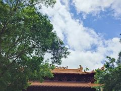 -深圳仙湖植物园
