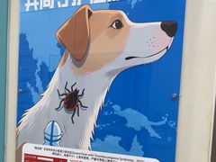 -北京观赏动物医院·24小时大型综合·猫专科·异宠专科