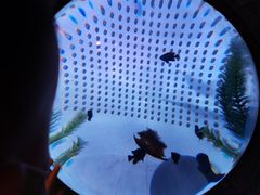 -沈阳海洋探索中心