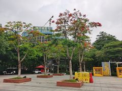 -映月湖公园