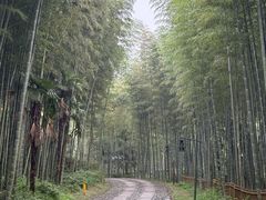 -黄公望隐居地