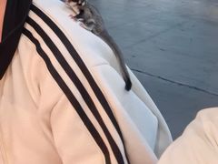 -长春农业博览园
