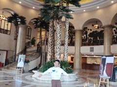 -圣爵菲斯大酒店(长沙世界之窗店)