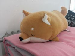 -宜肤清颜专业祛痘问题肌修护