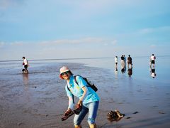 -南汇嘴观海公园