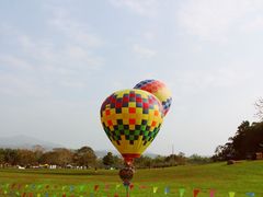 -西双版纳原始森林公园