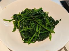 -凤凰湘语(浦东旗舰店)