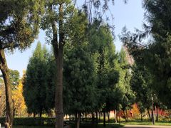 -成都武侯祠博物馆