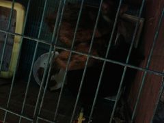 -海派铜锣湾(打浦路店)