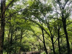 -木兰云雾山