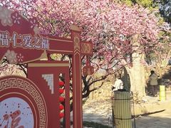-无锡梅园公园