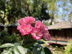 -大妙火锅·非物质文化遗产(东湖公园店)