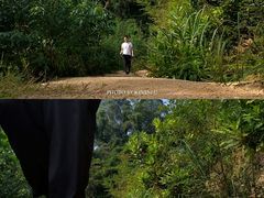 -火炉山森林公园