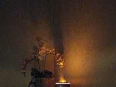 -汤臣Luck SPA按摩采耳(海派理疗公馆)