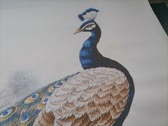 -雀舞云南菜(天津天河城购物中心店)