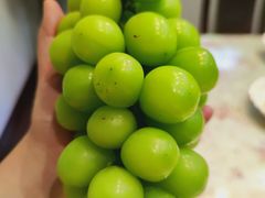 -鲜力达果品批发直销(青山店)