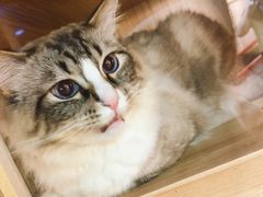 -白兔子密室(长寿路店)