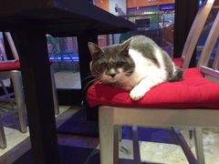 Mikaku-MIKAKU(万达广场上海宝山店)