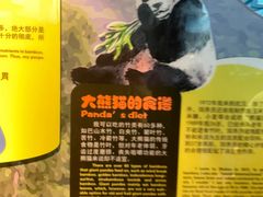 -武汉动物园