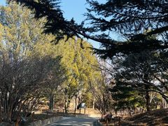 -国家植物园南园