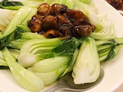 -楼外楼(玉泉店)