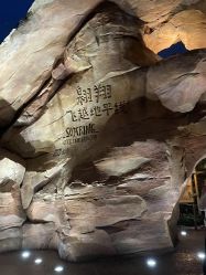 -翱翔飞越地平线