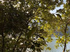 -广州市流溪河国家森林公园