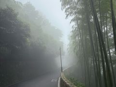 -莫干山风景区