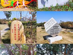 -立新湖公园