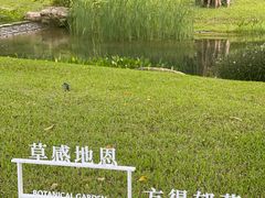 -云溪植物园