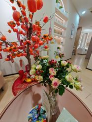 -skin79皮肤管理中心