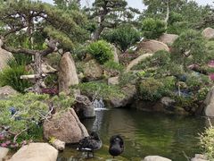 -罗红摄影艺术馆