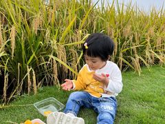 -中国天府农业博览园