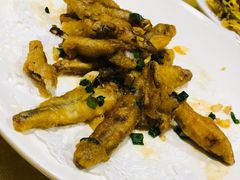 -鲤鱼塘农家山庄