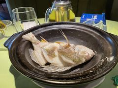 油盐焗海立鱼-百味馆·粤菜·湛江菜(后海花园店)