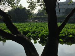 -西南交通大学(九里校区)