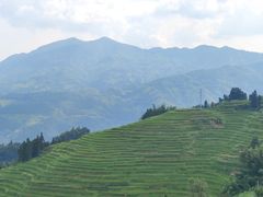 -紫鹊界梯田景区