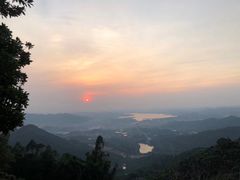 -大岭沟猕猴桃谷风景区