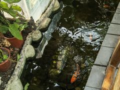 -上海大自然野生昆虫馆(东方明珠·爬宠昆虫探索中心)