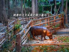 -清迈夜间动物园