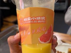 -福苗小骆驼烧烤(莲湖路店)